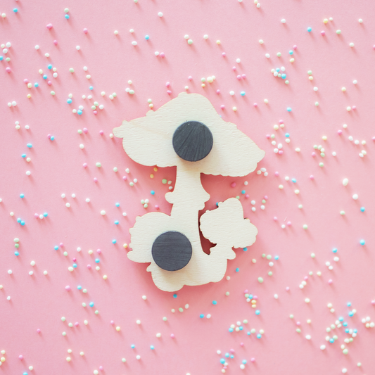 Kärpässienet | Puinen magneetti