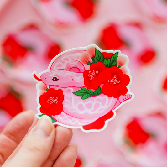 Käärmeen vuosi | Vinyylitarra