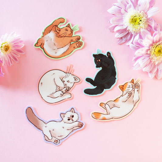 Kissat | Vinyylitarra-setti