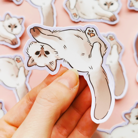 Ragdoll Kisu | Vinyylitarra