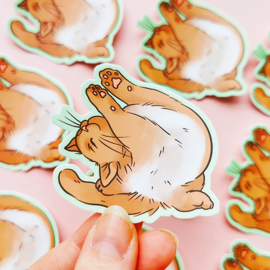 Uinuva kisu | Vinyylitarra