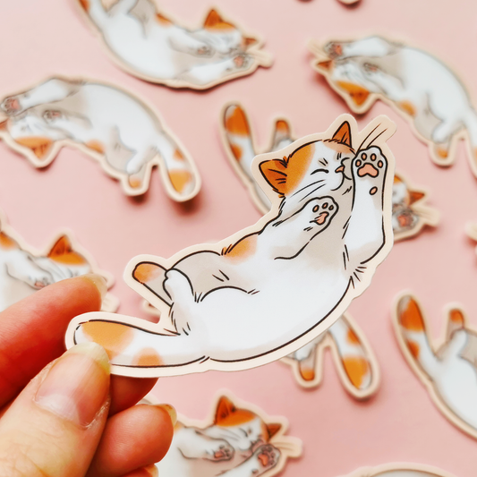 Veny Kisu | Vinyylitarra