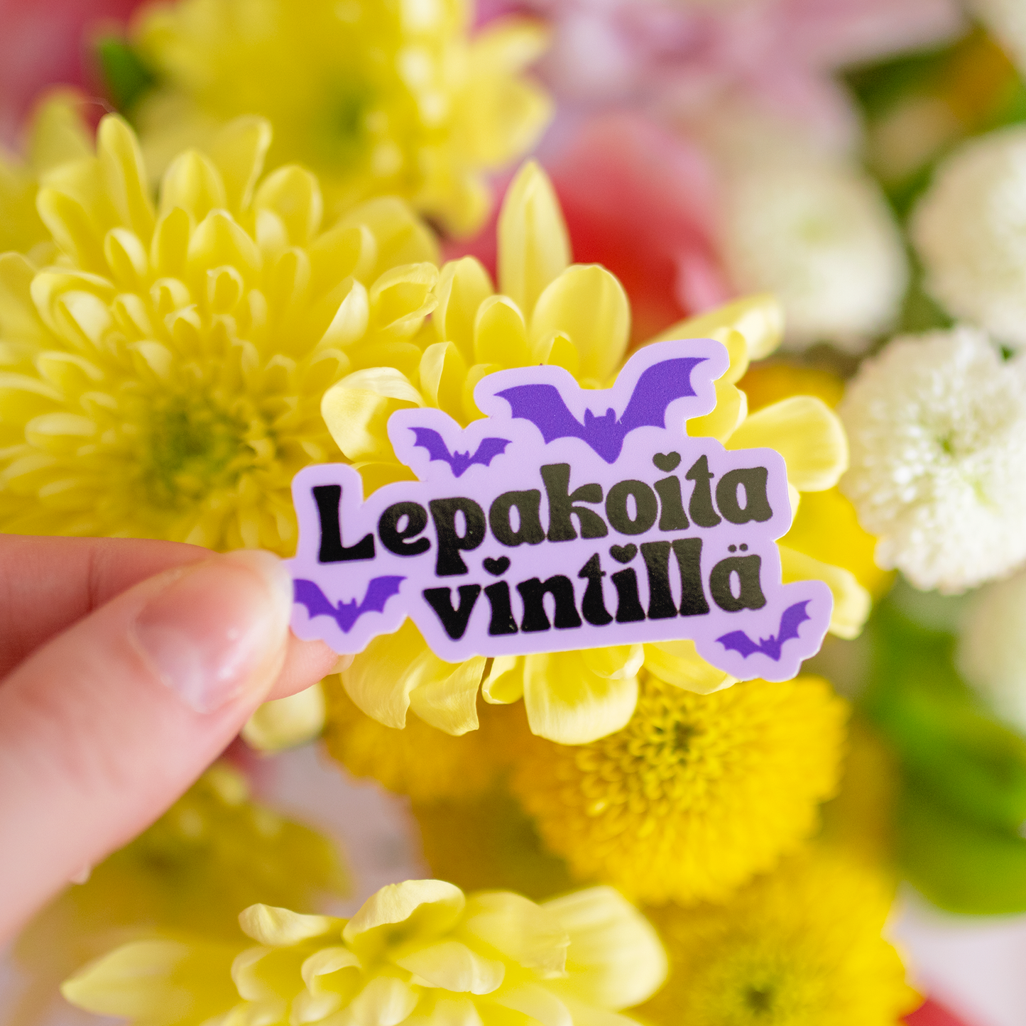 Lepakoita vintillä | Vinyylitarra