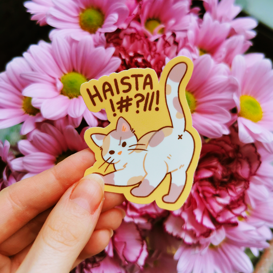 MeanKitty #2 | Vinyylitarra