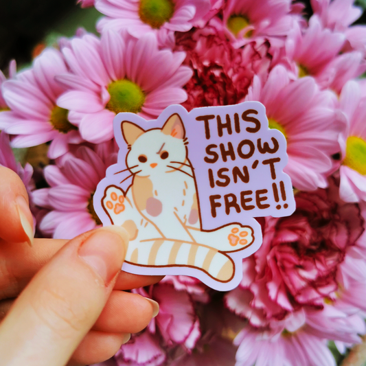 MeanKitty #3 | Vinyylitarra