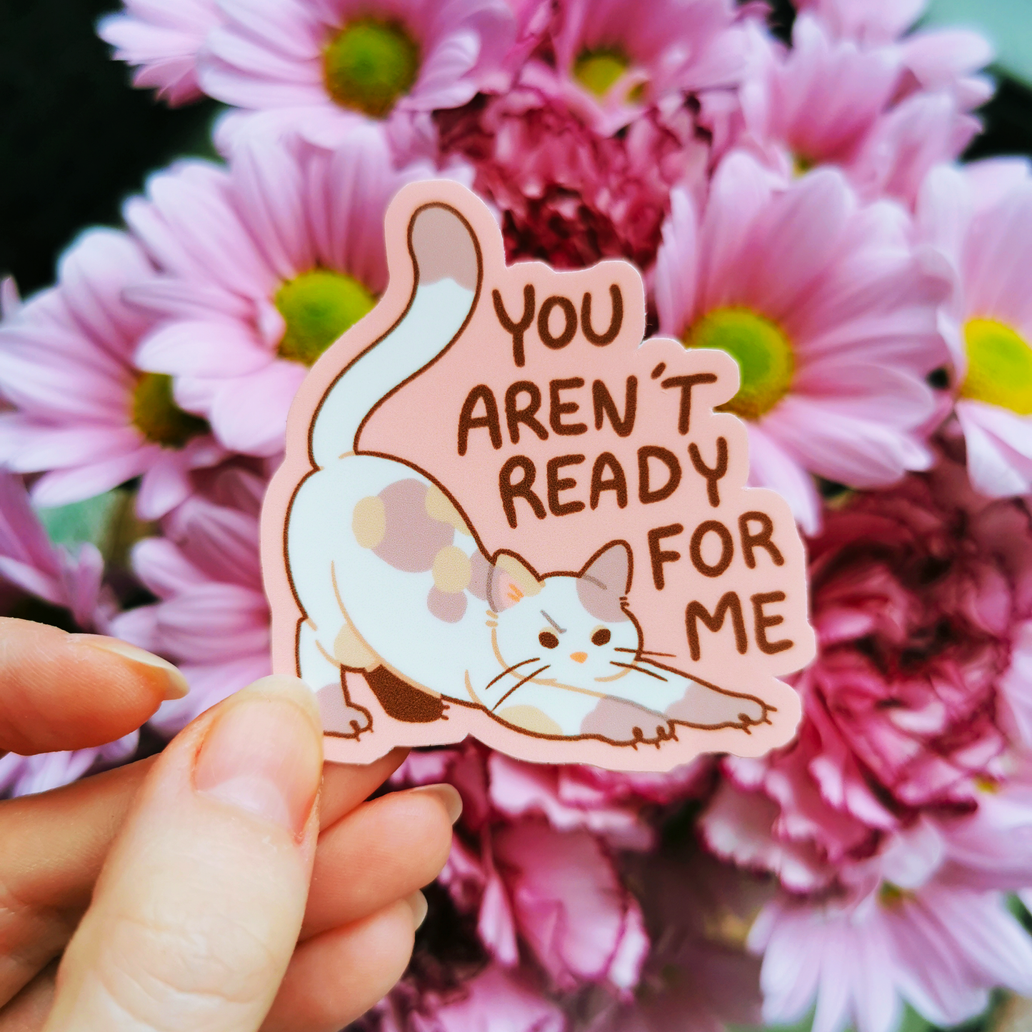 MeanKitty #1 | Vinyylitarra