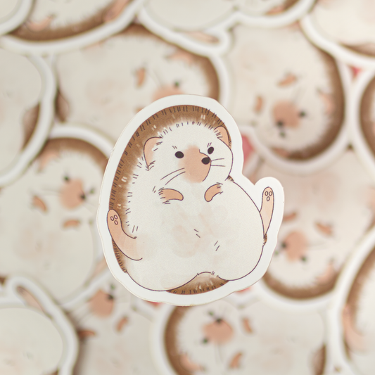 Siili | Vinyylitarra