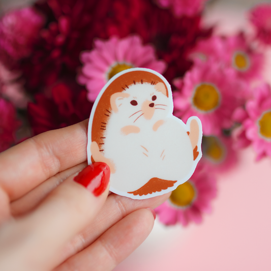 Siili | Vinyylitarra