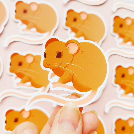 Peltohiiri | Vinyylitarra