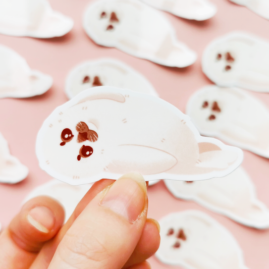 Kuutti | Vinyylitarra