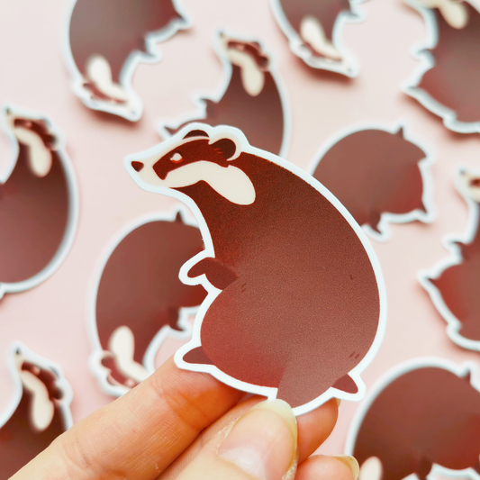 Mäyrä | Vinyylitarra