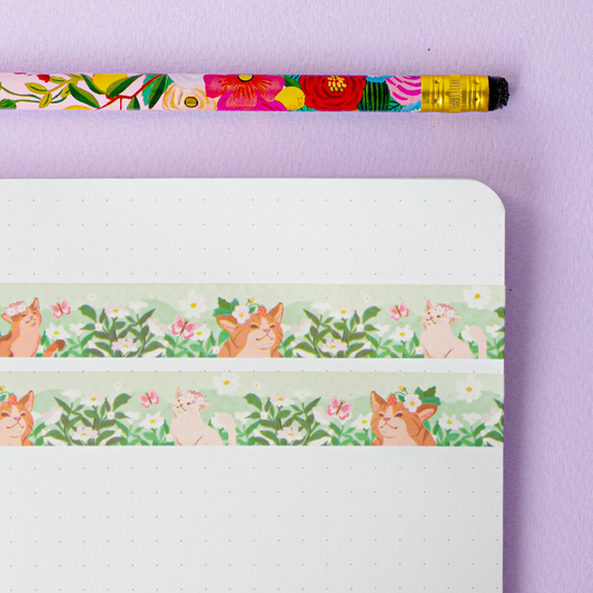 Kissa Kedolla | Washiteippi