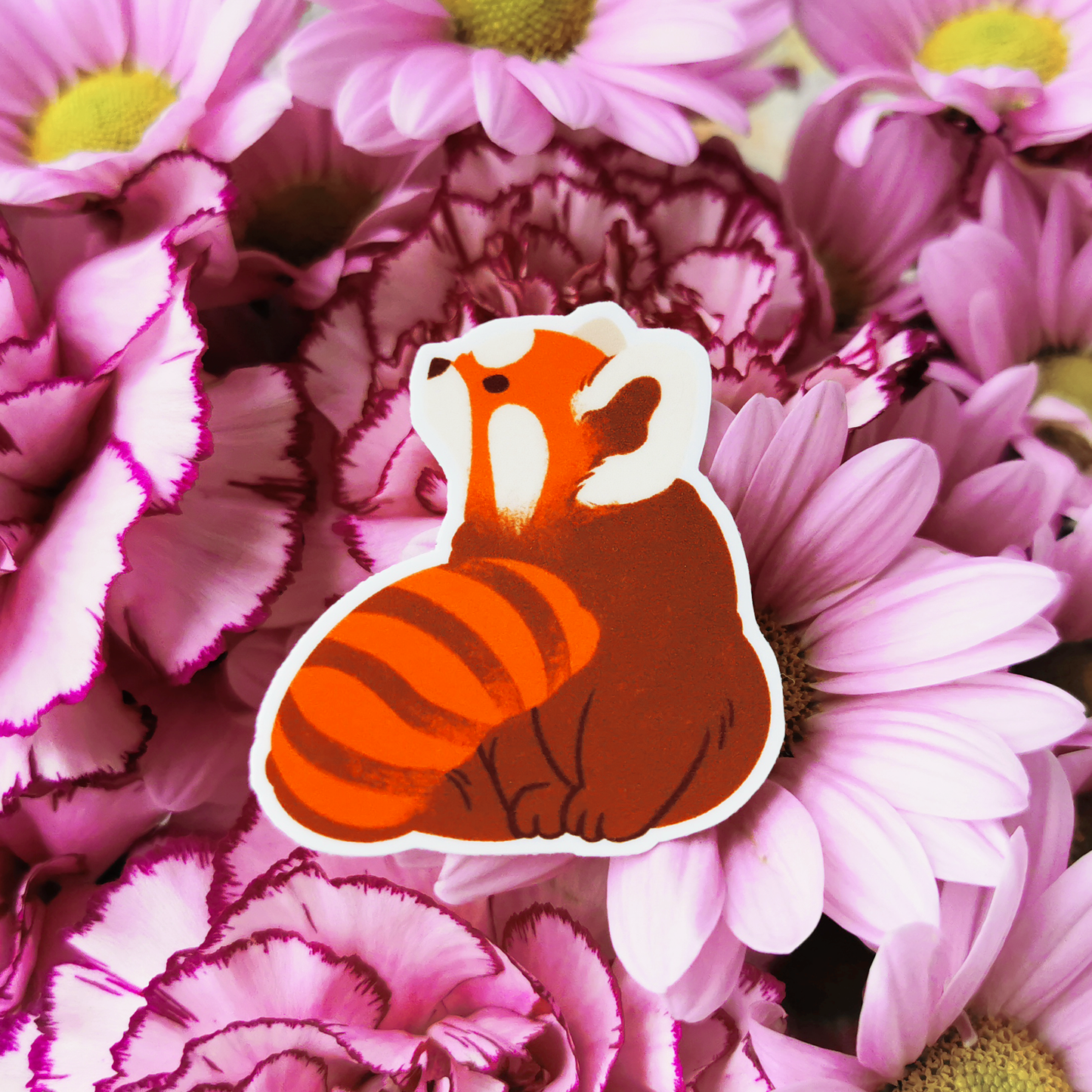 Kultapanda | Vinyylitarra