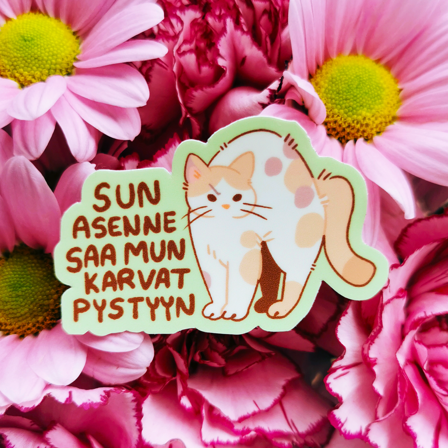 MeanKitty #4 | Vinyylitarra