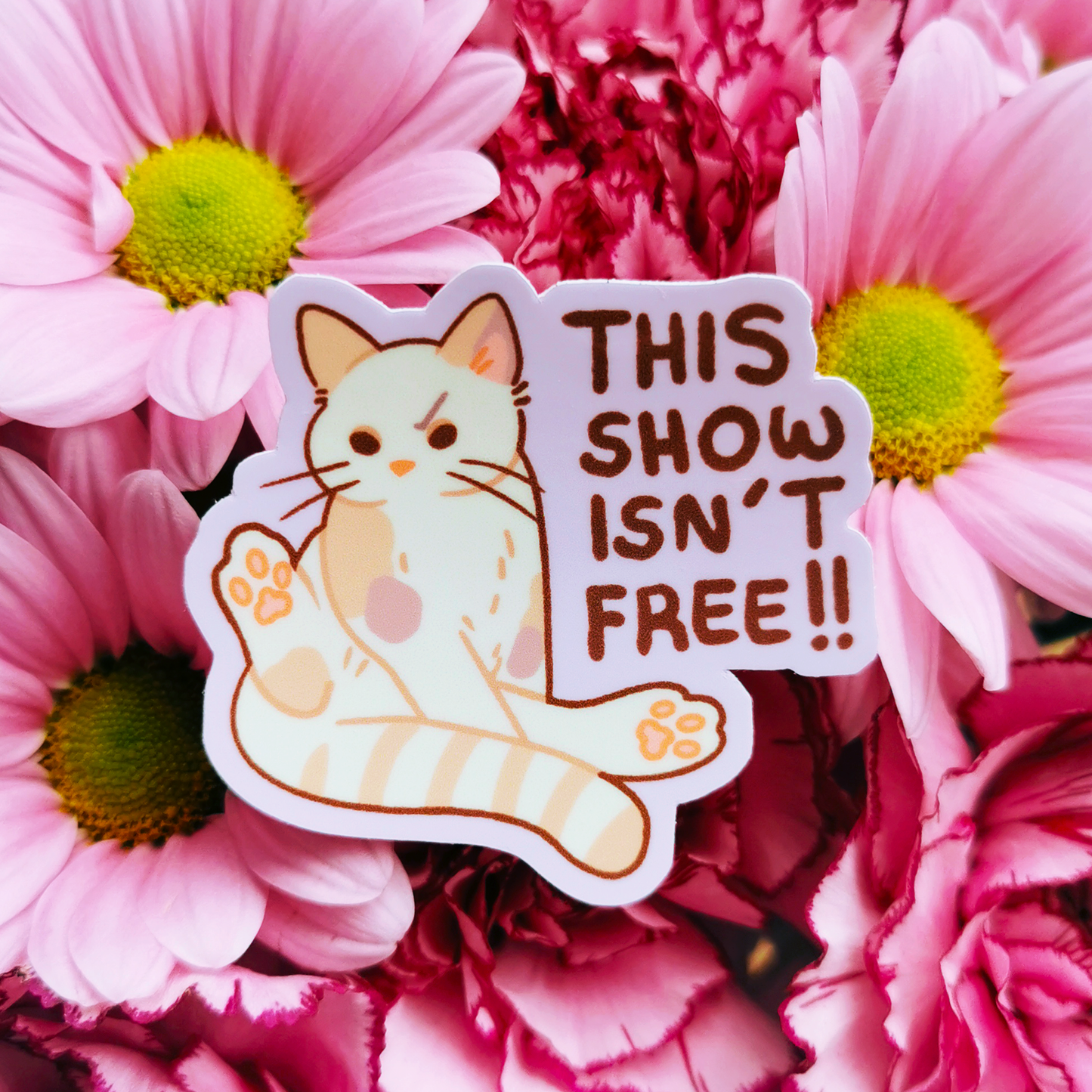 MeanKitty #3 | Vinyylitarra