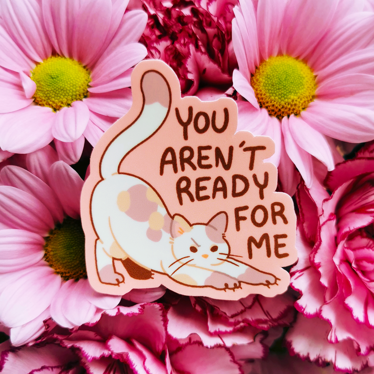 MeanKitty #1 | Vinyylitarra