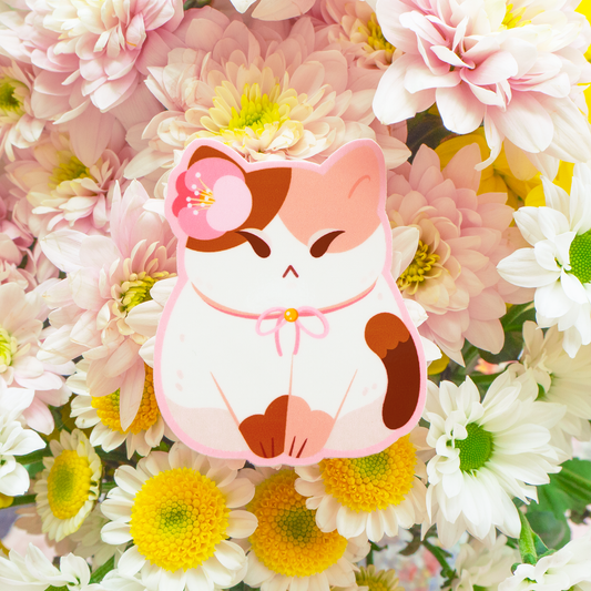 Neko-kissa | Vinyylitarra