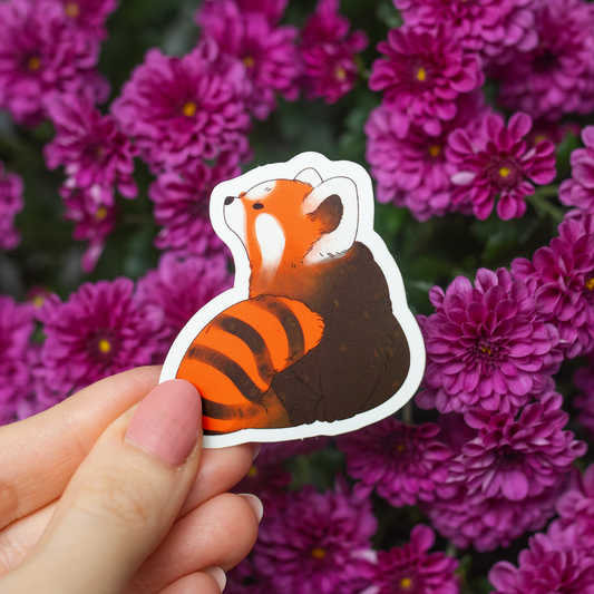 Kultapanda | Vinyylitarra