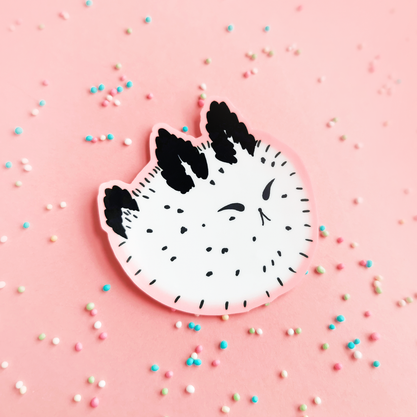 Seabunny | Vinyylitarra