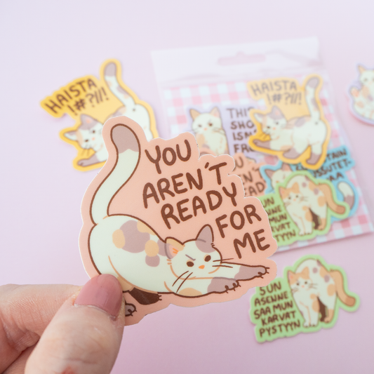 Mean Kitty | Vinyylitarra-setti