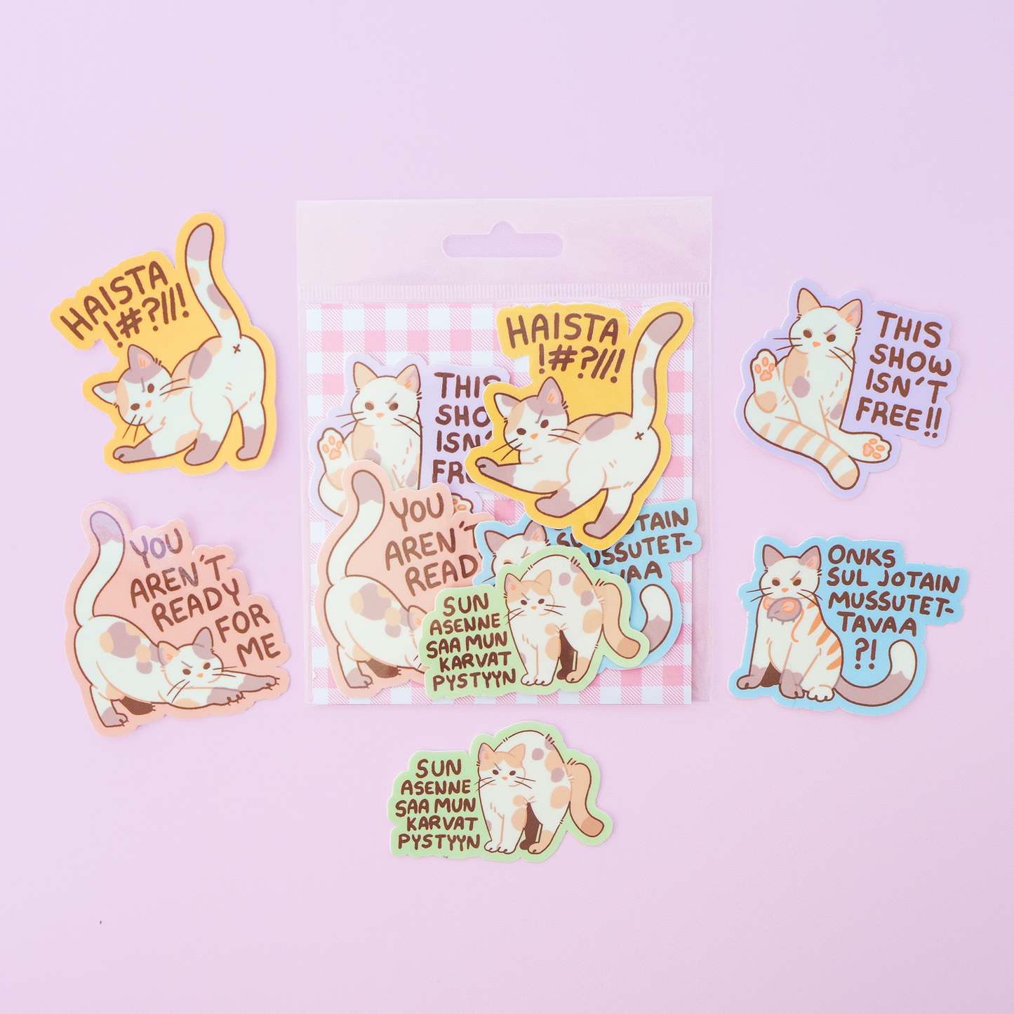 Mean Kitty | Vinyylitarra-setti