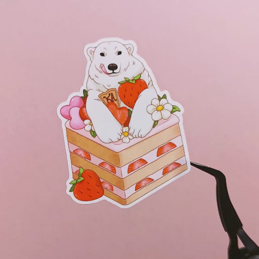 Jääkarhuleivos | Vinyylitarra